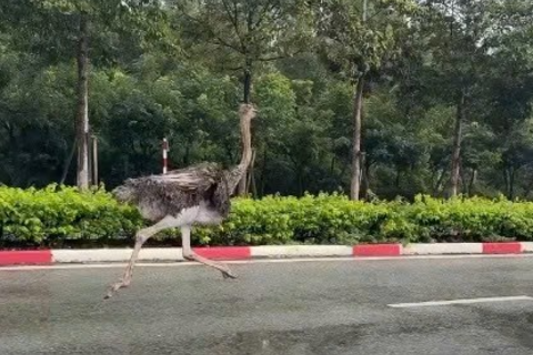 <a href="/tin-tuc" title="Tin tức" rel="dofollow">Tin tức</a>