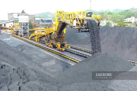 <a href="/kinh-te" title="Kinh tế" rel="dofollow">Kinh tế</a>