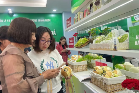 <a href="/kinh-te" title="Kinh tế" rel="dofollow">Kinh tế</a>