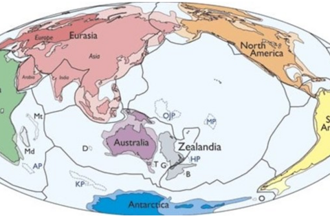 <a href="/giai-tri" title="Giải trí" rel="dofollow">Giải trí</a>