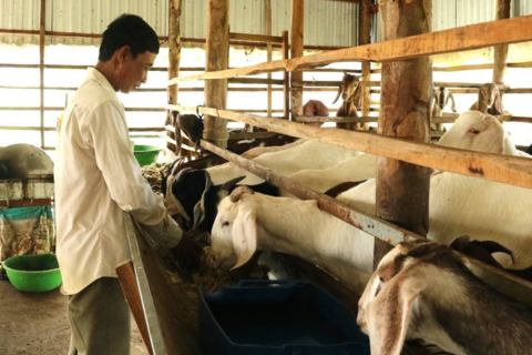 <a href="/doi-song" title="Đời sống" rel="dofollow">Đời sống</a>