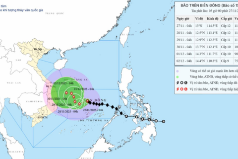 <a href="/moi-truong" title="Môi trường" rel="dofollow">Môi trường</a>