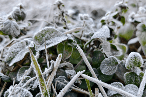 <a href="/moi-truong" title="Môi trường" rel="dofollow">Môi trường</a>