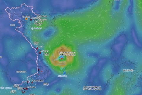 <a href="/moi-truong" title="Môi trường" rel="dofollow">Môi trường</a>