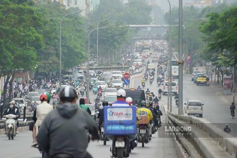 <a href="/moi-truong" title="Môi trường" rel="dofollow">Môi trường</a>