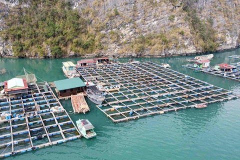 <a href="/kinh-te" title="Kinh tế" rel="dofollow">Kinh tế</a>