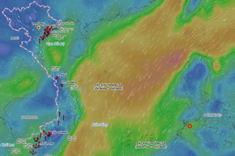 <a href="/moi-truong" title="Môi trường" rel="dofollow">Môi trường</a>