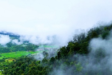 <a href="/tin-tuc" title="Tin tức" rel="dofollow">Tin tức</a>