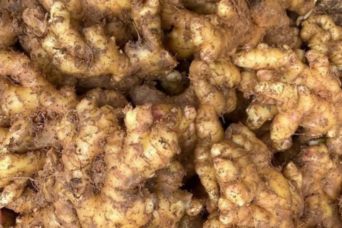 <a href="/y-te" title="Y tế" rel="dofollow">Y tế</a>