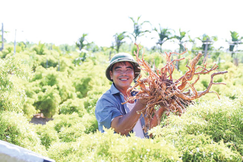 <a href="/y-te" title="Y tế" rel="dofollow">Y tế</a>