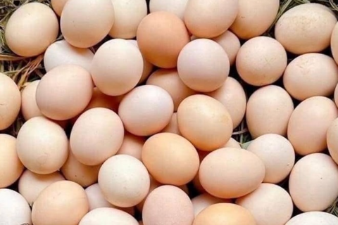 <a href="/y-te" title="Y tế" rel="dofollow">Y tế</a>