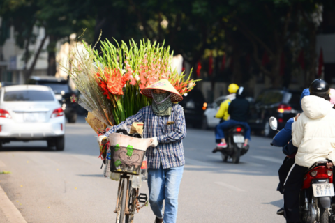 <a href="/moi-truong" title="Môi trường" rel="dofollow">Môi trường</a>