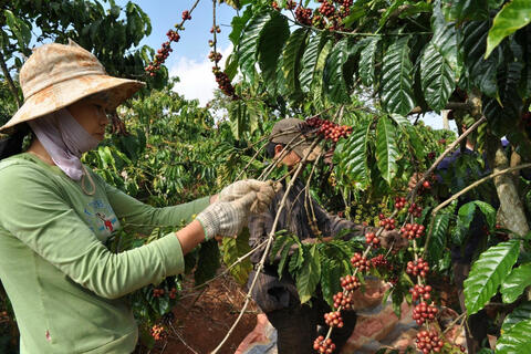 <a href="/kinh-te" title="Kinh tế" rel="dofollow">Kinh tế</a>