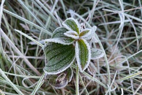 <a href="/moi-truong" title="Môi trường" rel="dofollow">Môi trường</a>