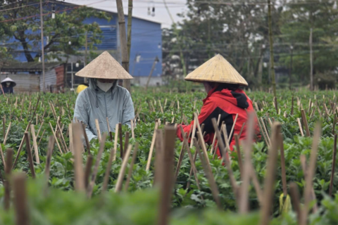 <a href="/giai-tri" title="Giải trí" rel="dofollow">Giải trí</a>