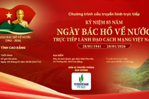 <a href="/giai-tri" title="Giải trí" rel="dofollow">Giải trí</a>