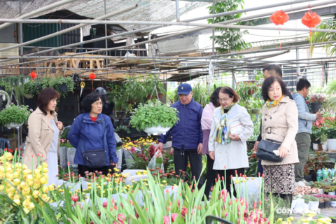 <a href="/giai-tri" title="Giải trí" rel="dofollow">Giải trí</a>