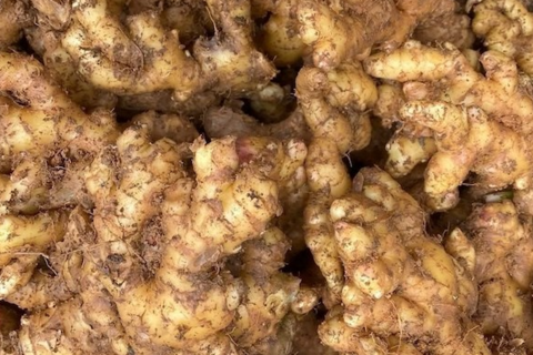 <a href="/y-te" title="Y tế" rel="dofollow">Y tế</a>