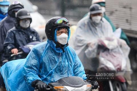 <a href="/moi-truong" title="Môi trường" rel="dofollow">Môi trường</a>