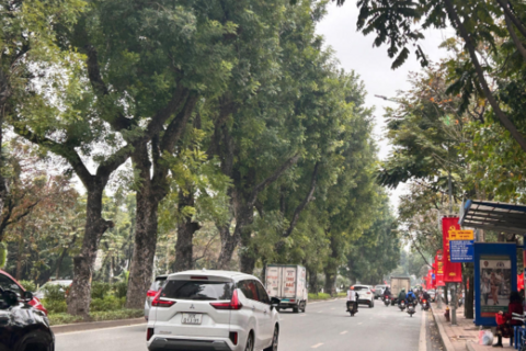 <a href="/moi-truong" title="Môi trường" rel="dofollow">Môi trường</a>