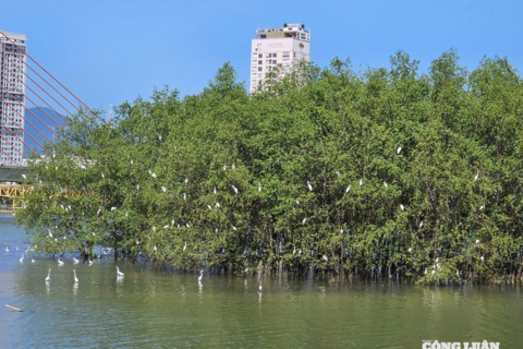 <a href="/giai-tri" title="Giải trí" rel="dofollow">Giải trí</a>