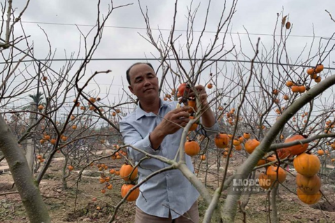 <a href="/kinh-te" title="Kinh tế" rel="dofollow">Kinh tế</a>