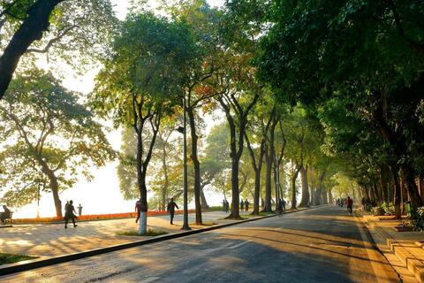 <a href="/moi-truong" title="Môi trường" rel="dofollow">Môi trường</a>