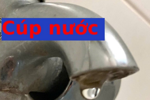 <a href="/tin-tuc" title="Tin tức" rel="dofollow">Tin tức</a>