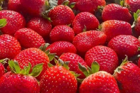 <a href="/y-te" title="Y tế" rel="dofollow">Y tế</a>