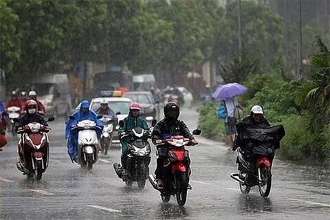 <a href="/moi-truong" title="Môi trường" rel="dofollow">Môi trường</a>