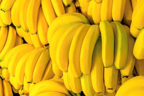 <a href="/y-te" title="Y tế" rel="dofollow">Y tế</a>