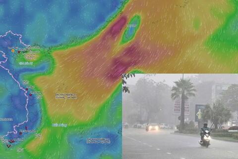 <a href="/moi-truong" title="Môi trường" rel="dofollow">Môi trường</a>