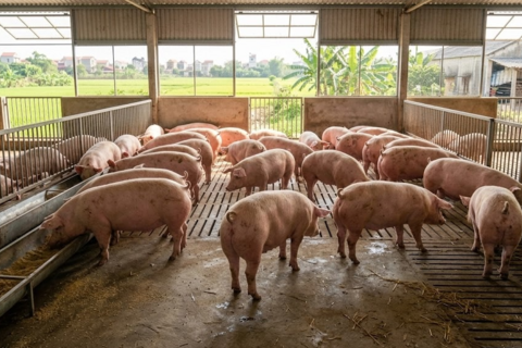 <a href="/kinh-te" title="Kinh tế" rel="dofollow">Kinh tế</a>