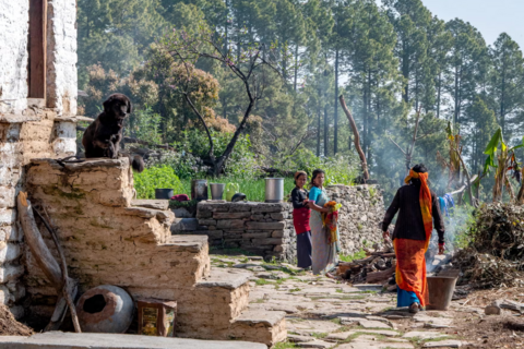 <a href="/giai-tri" title="Giải trí" rel="dofollow">Giải trí</a>