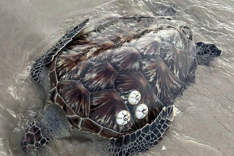 <a href="/tin-tuc" title="Tin tức" rel="dofollow">Tin tức</a>