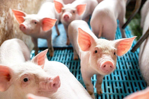 <a href="/kinh-te" title="Kinh tế" rel="dofollow">Kinh tế</a>