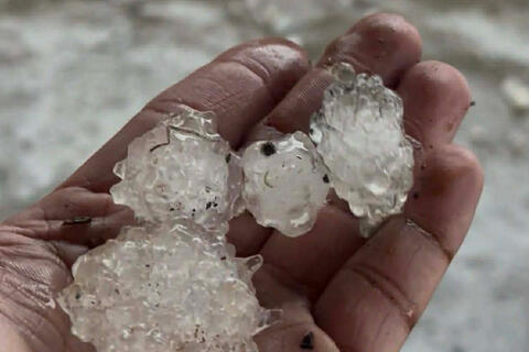 <a href="/moi-truong" title="Môi trường" rel="dofollow">Môi trường</a>