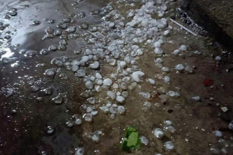 <a href="/moi-truong" title="Môi trường" rel="dofollow">Môi trường</a>