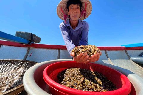 <a href="/giai-tri" title="Giải trí" rel="dofollow">Giải trí</a>