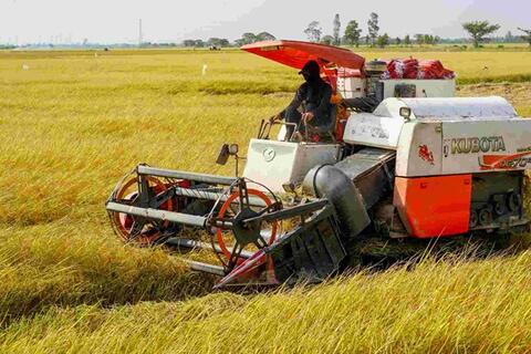 <a href="/kinh-te" title="Kinh tế" rel="dofollow">Kinh tế</a>