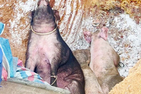 <a href="/tin-tuc" title="Tin tức" rel="dofollow">Tin tức</a>