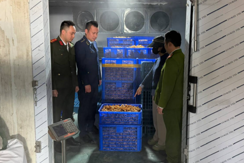 <a href="/tin-tuc" title="Tin tức" rel="dofollow">Tin tức</a>