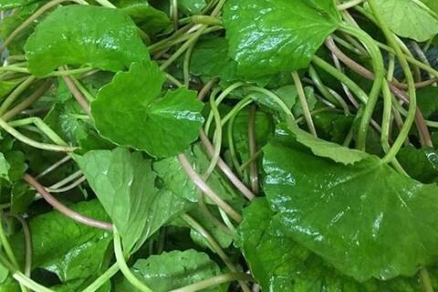 <a href="/y-te" title="Y tế" rel="dofollow">Y tế</a>