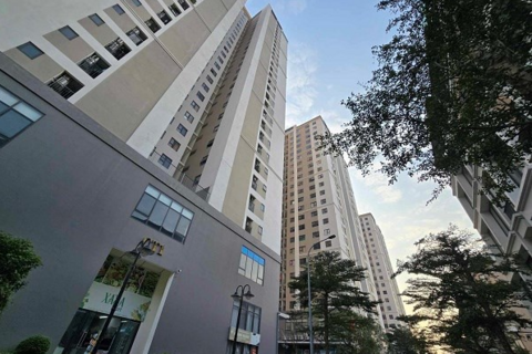 <a href="/kinh-te" title="Kinh tế" rel="dofollow">Kinh tế</a>