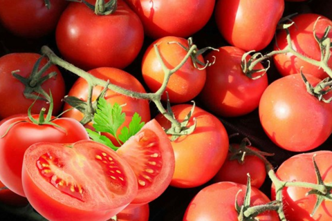 <a href="/y-te" title="Y tế" rel="dofollow">Y tế</a>