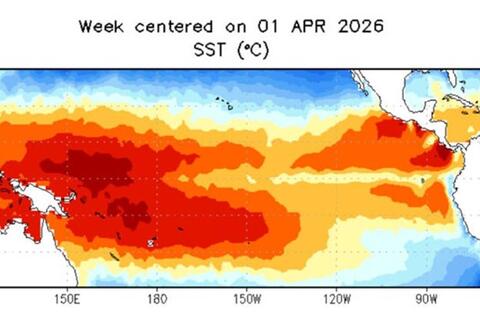 <a href="/moi-truong" title="Môi trường" rel="dofollow">Môi trường</a>