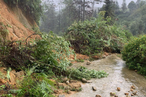 <a href="/tin-tuc" title="Tin tức" rel="dofollow">Tin tức</a>