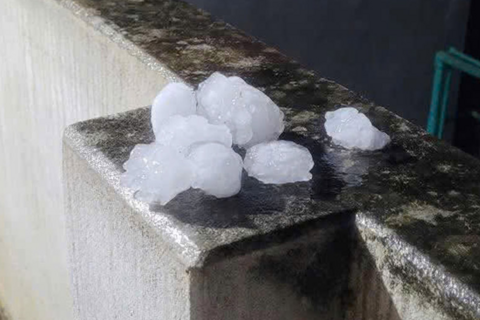 <a href="/moi-truong" title="Môi trường" rel="dofollow">Môi trường</a>