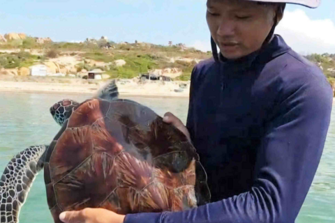 <a href="/tin-tuc" title="Tin tức" rel="dofollow">Tin tức</a>