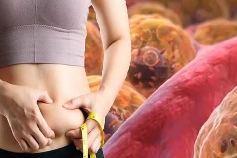 <a href="/y-te" title="Y tế" rel="dofollow">Y tế</a>